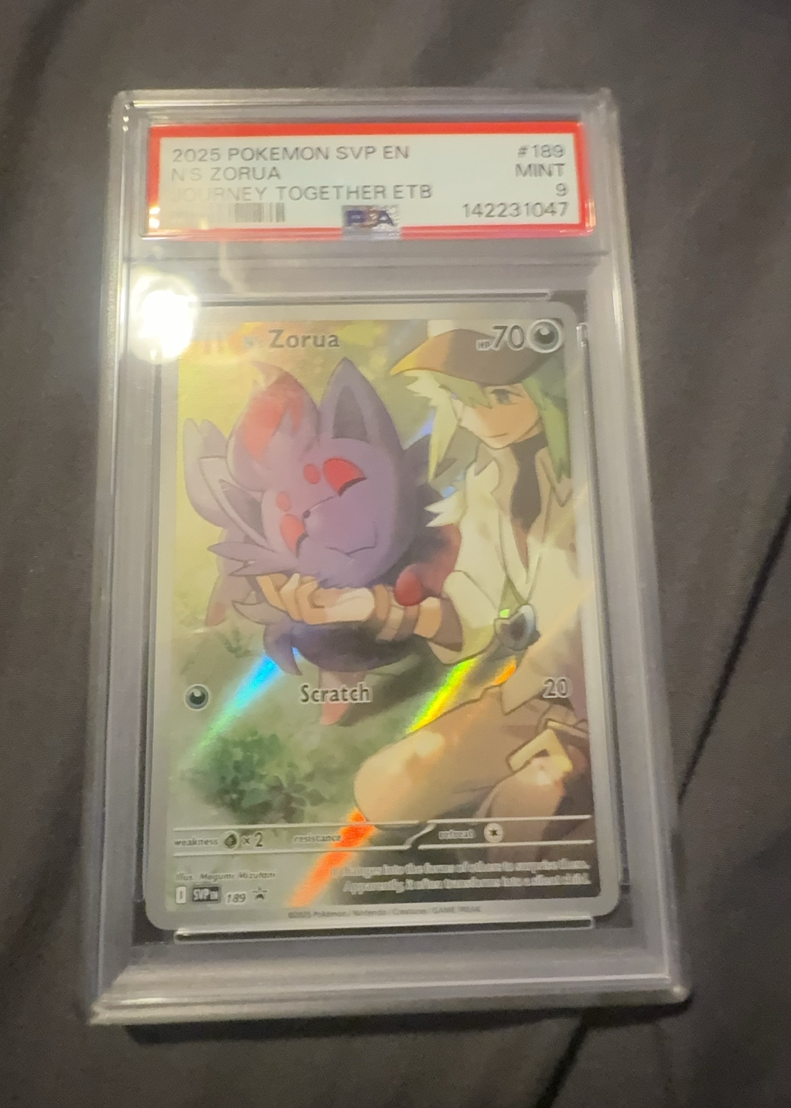 N's Zorua — seller photo