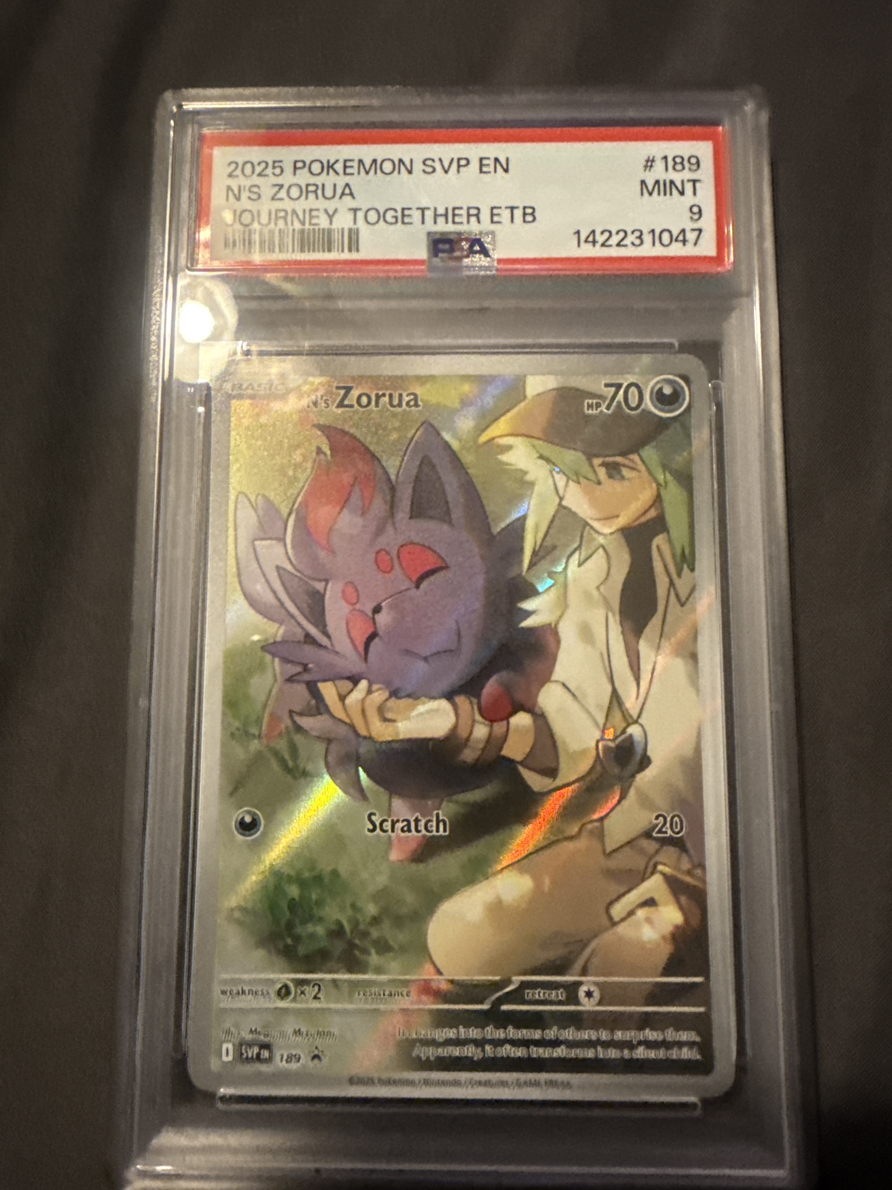 N's Zorua — seller photo