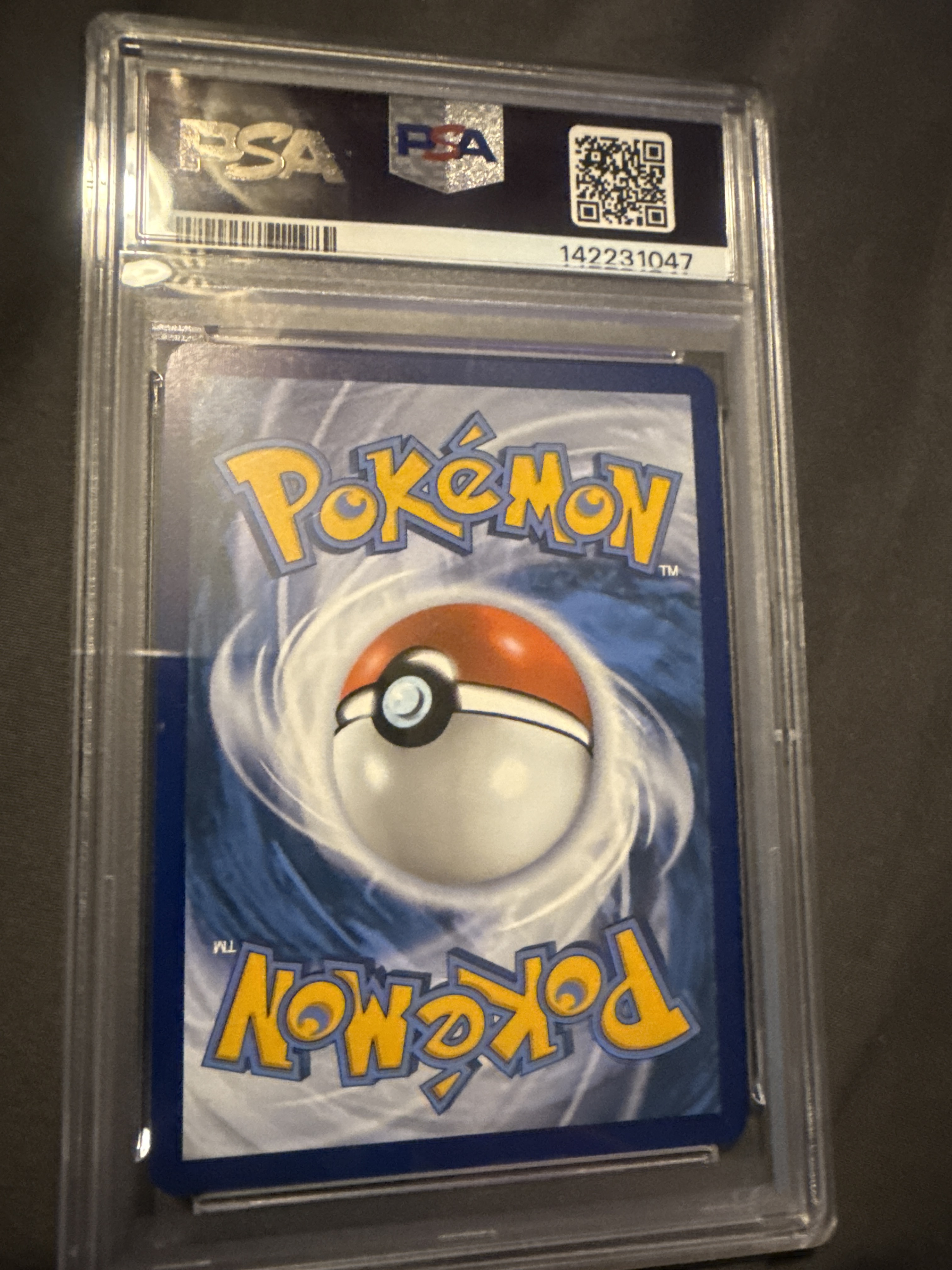 N's Zorua — seller photo