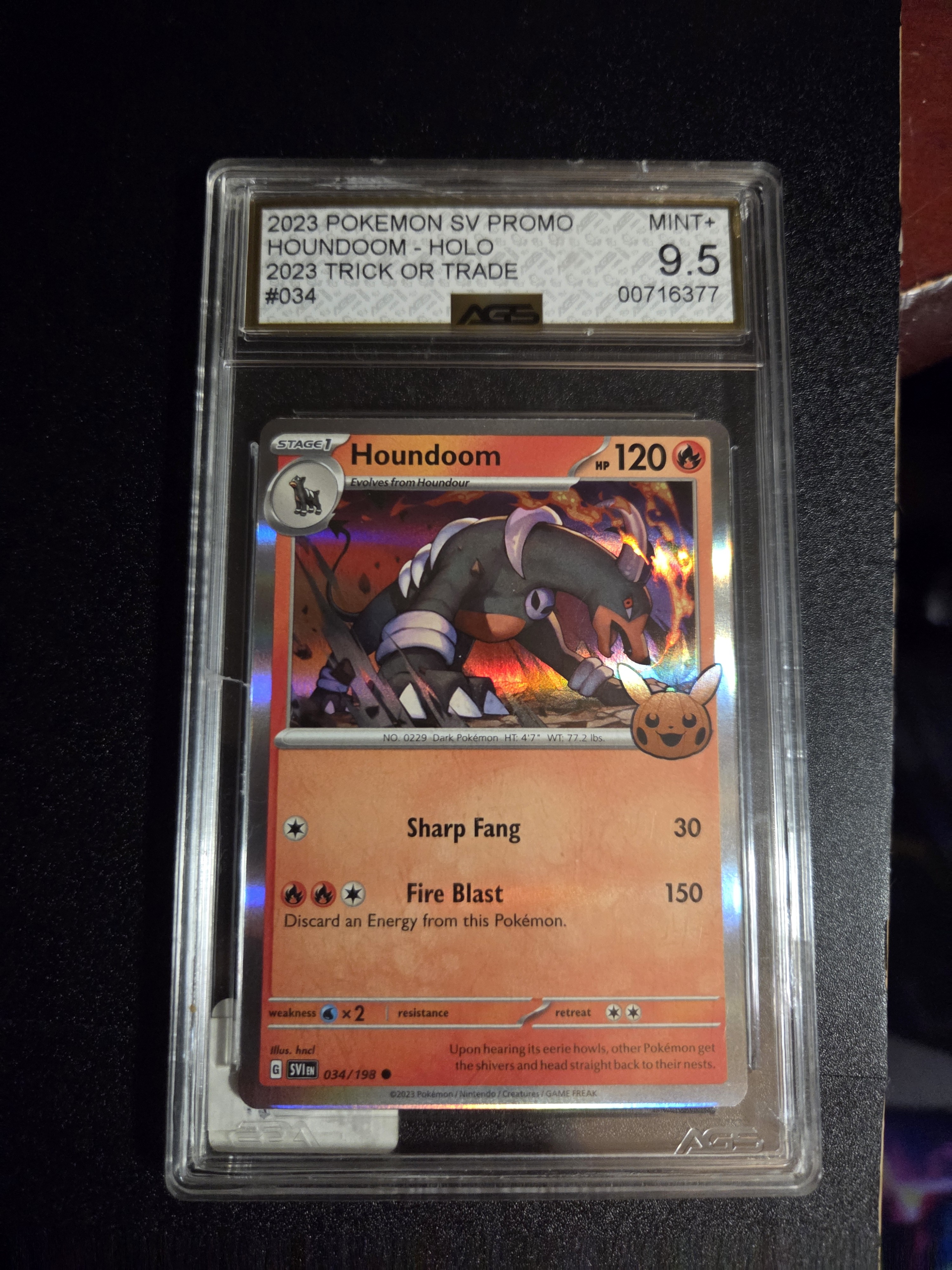 Houndoom — seller photo