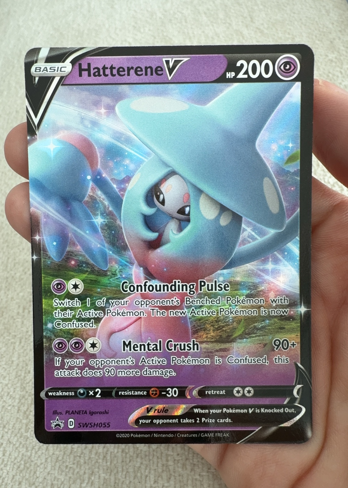Hatterene V — seller photo