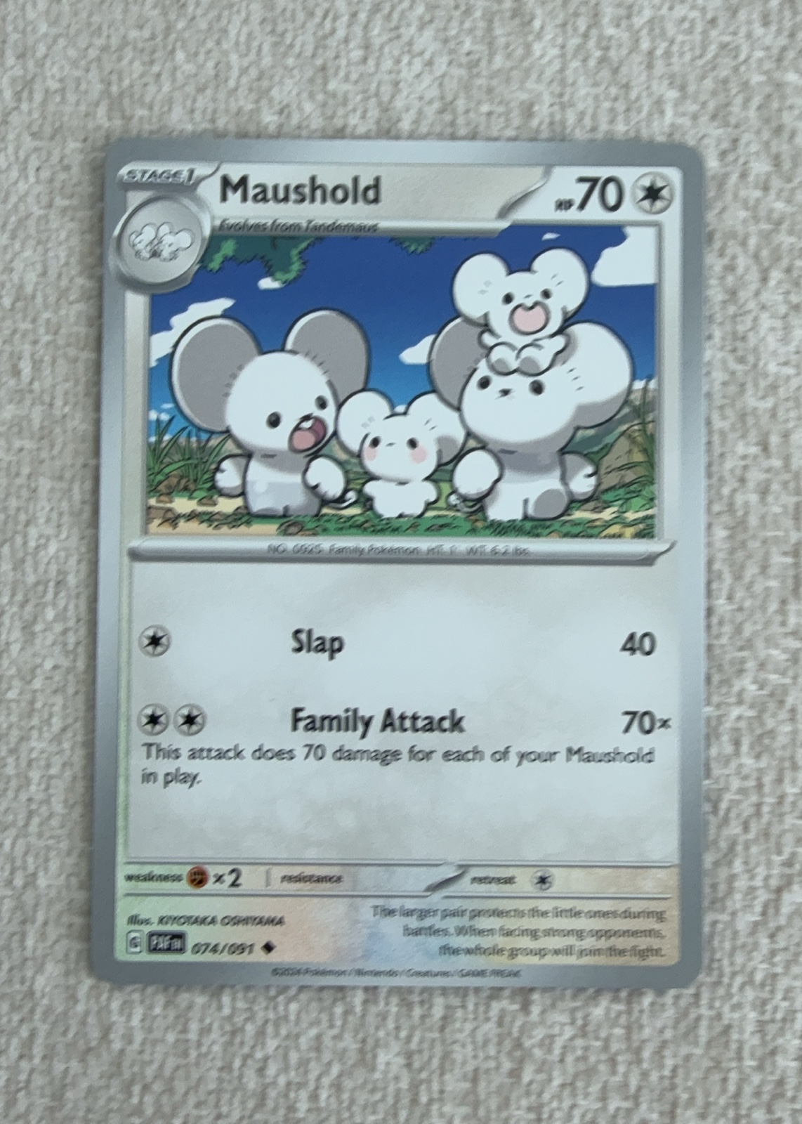 Maushold — seller photo
