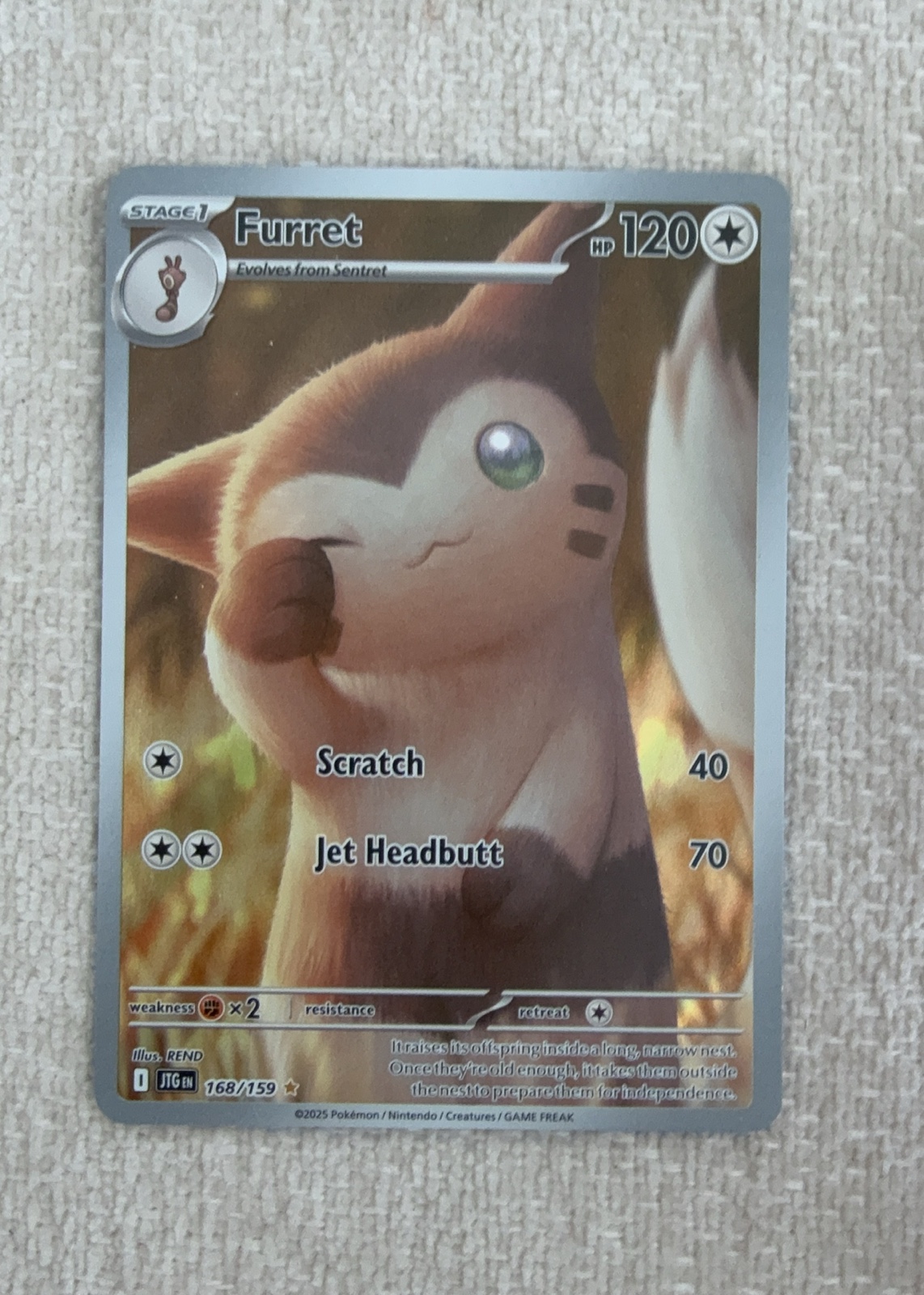 Furret — seller photo