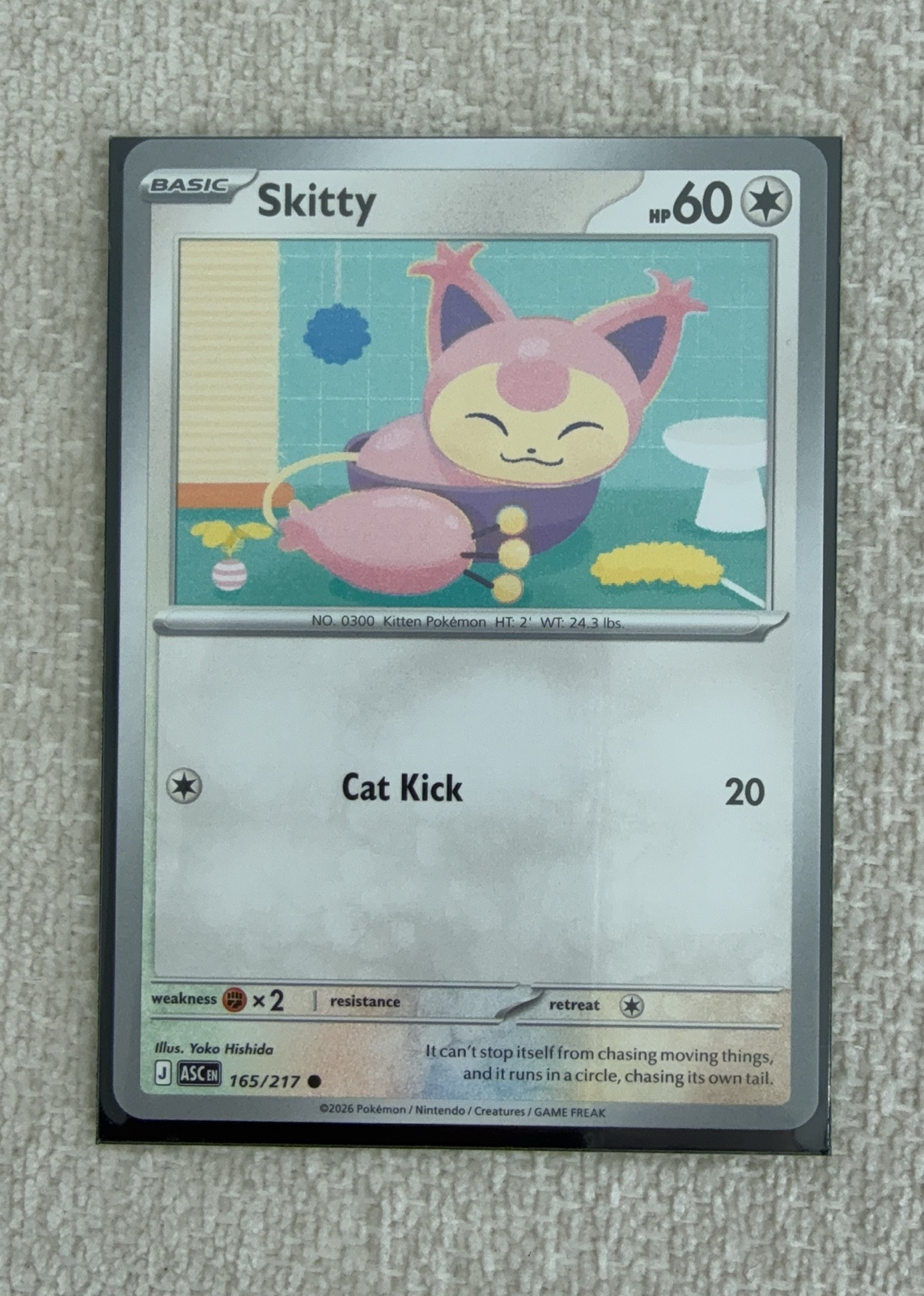 Skitty — seller photo