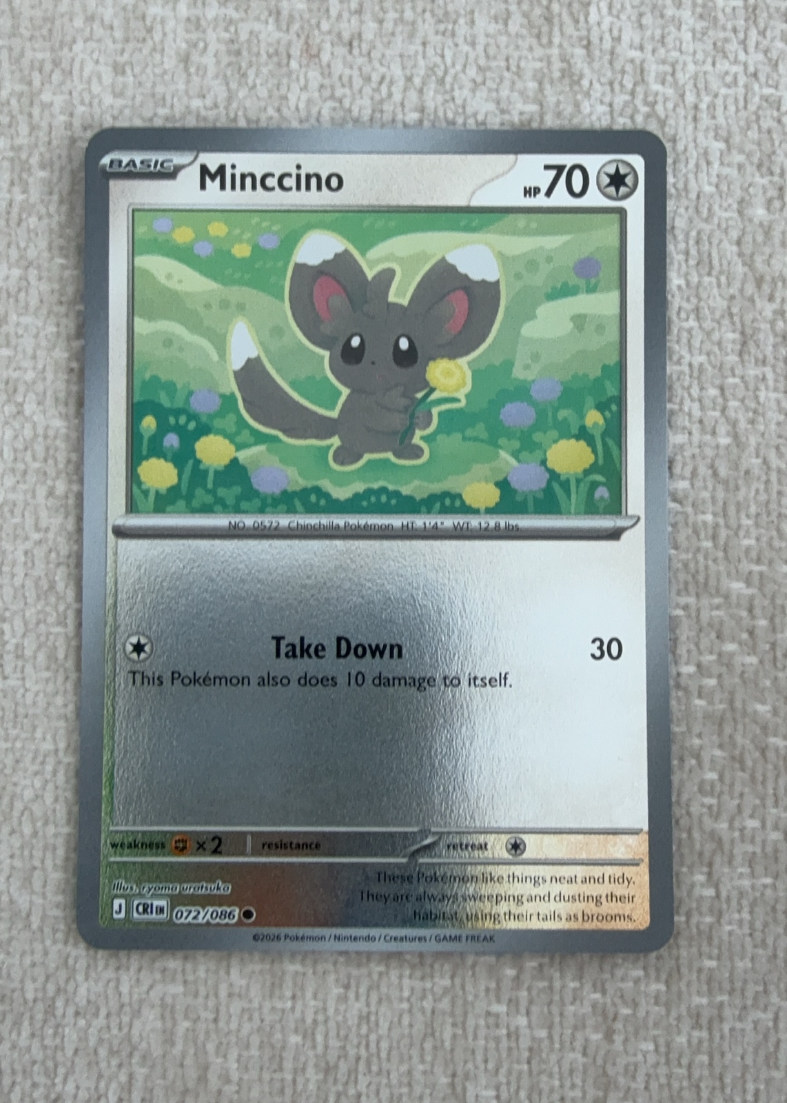 Minccino — seller photo