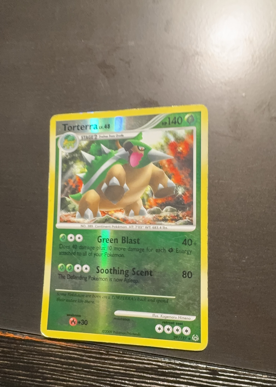 Torterra — seller photo