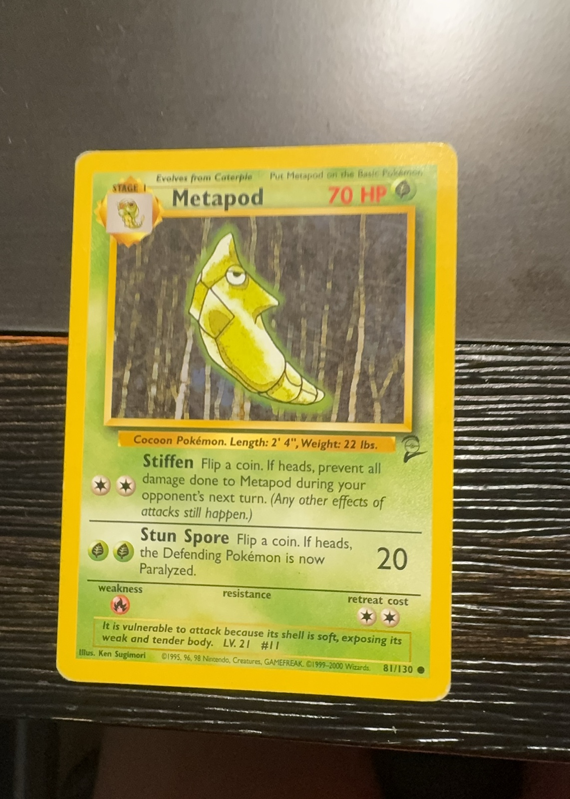 Metapod — seller photo