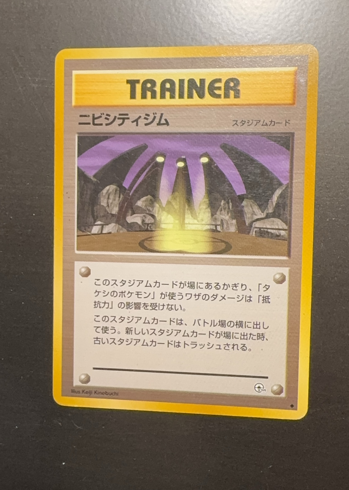 Pewter City Gym — seller photo