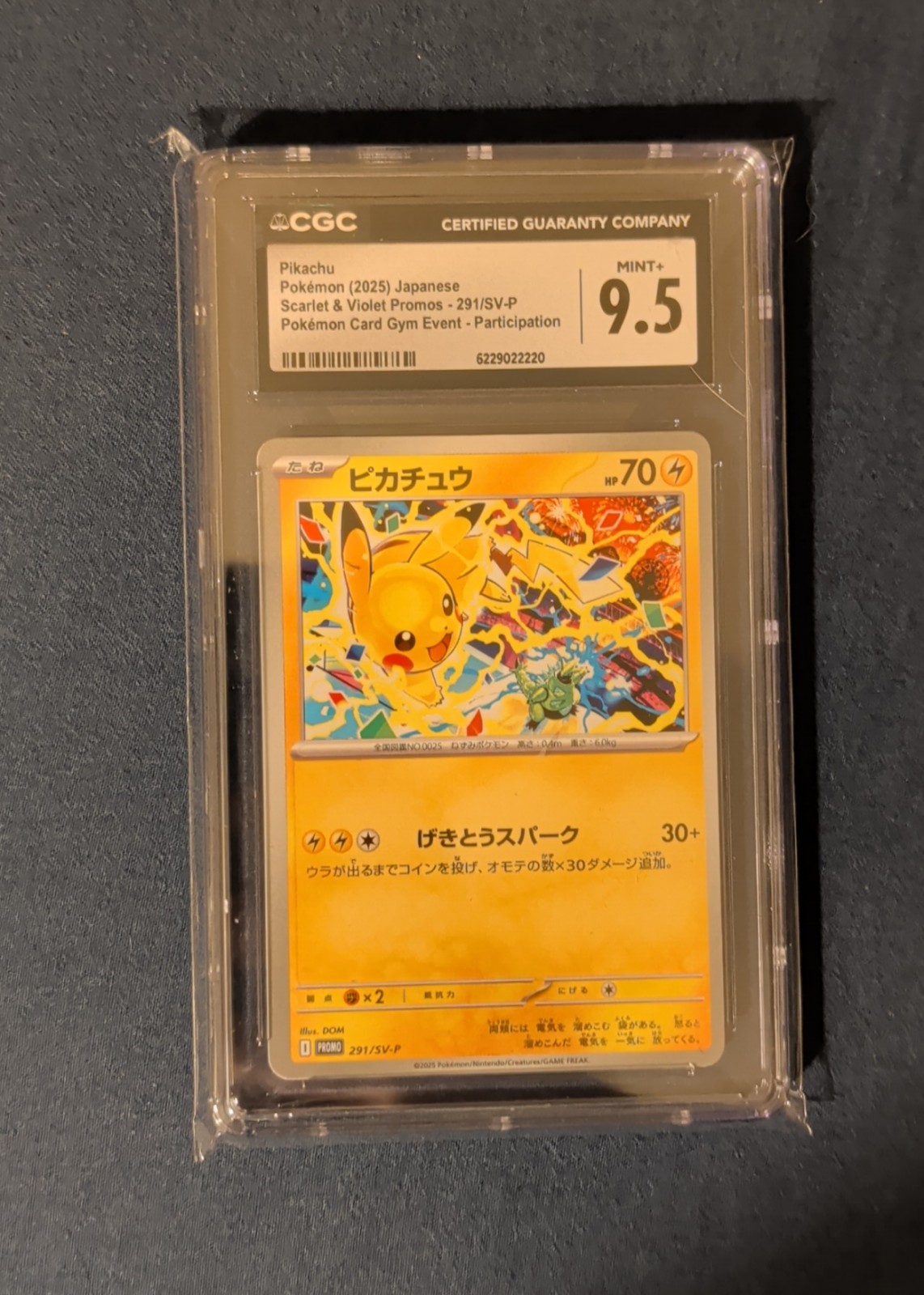 Pikachu — seller photo