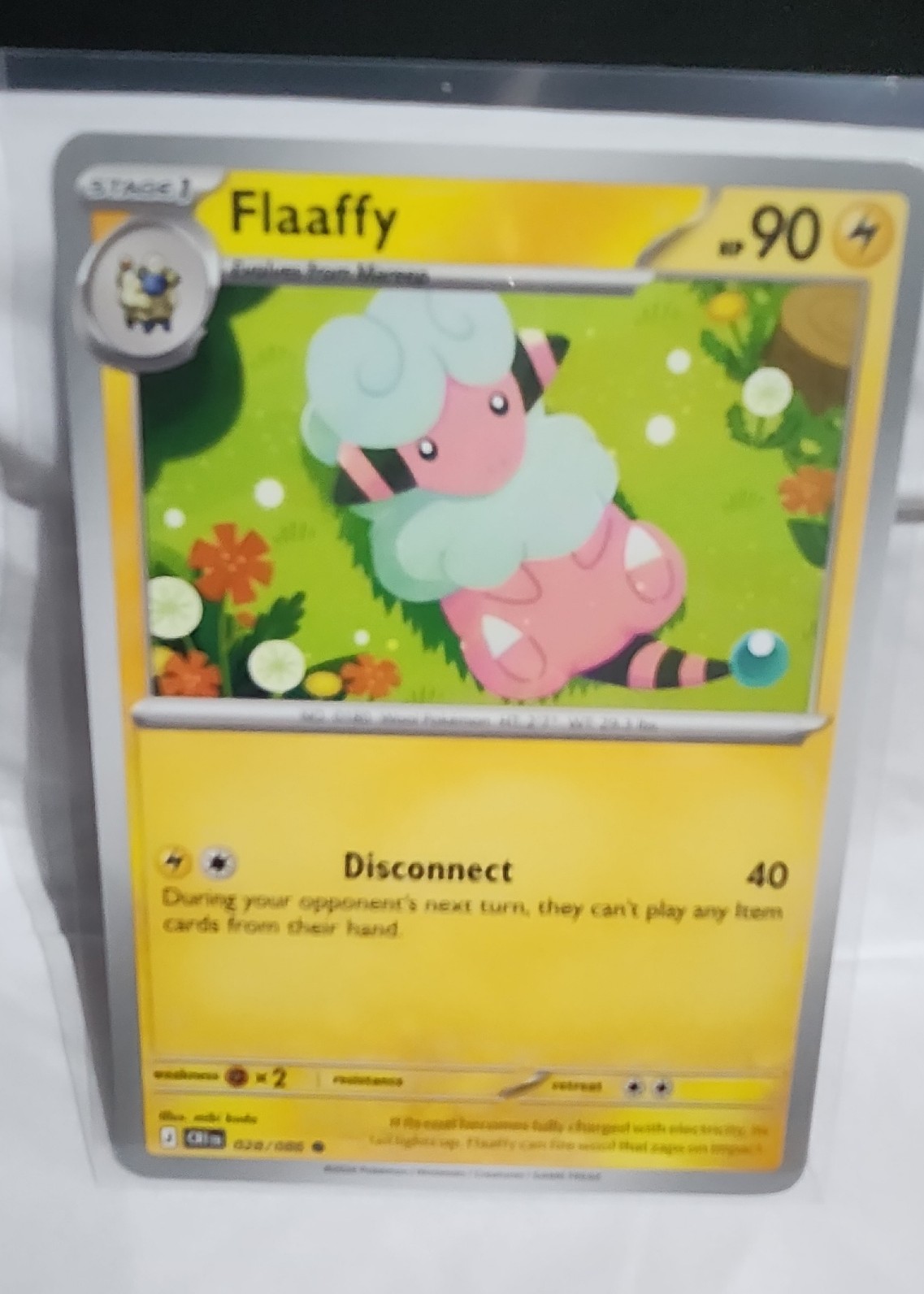 Flaaffy — seller photo