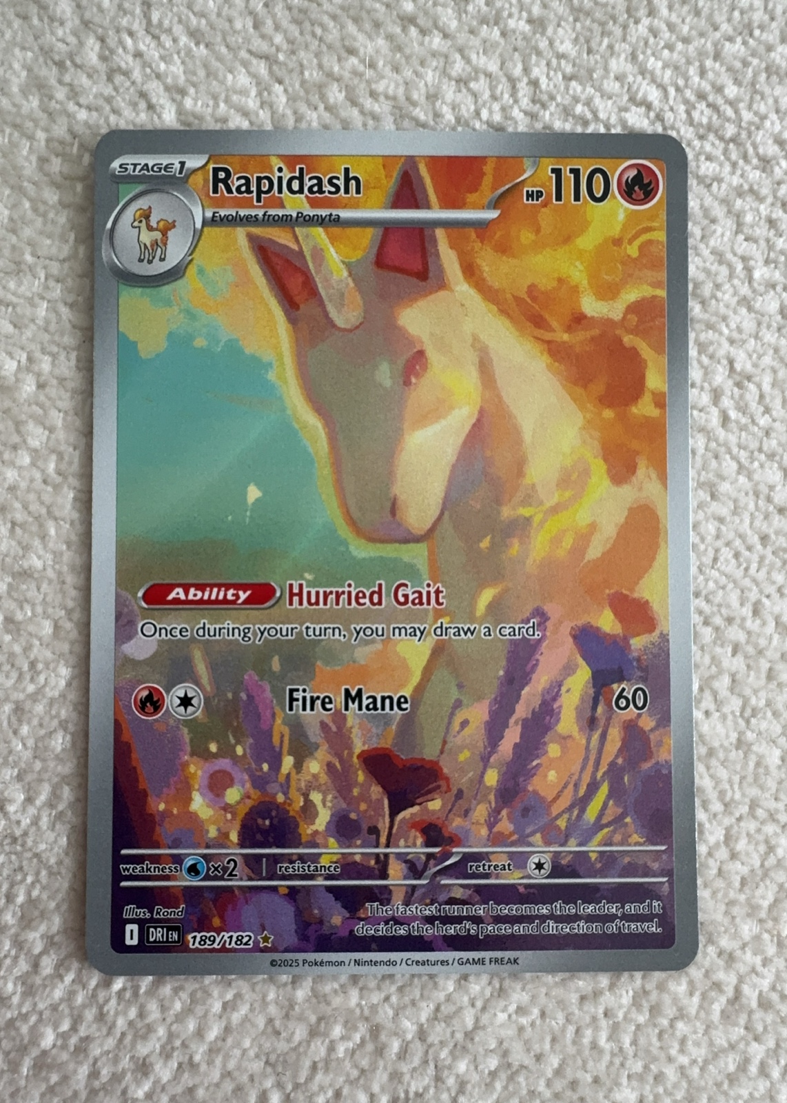 Rapidash — seller photo