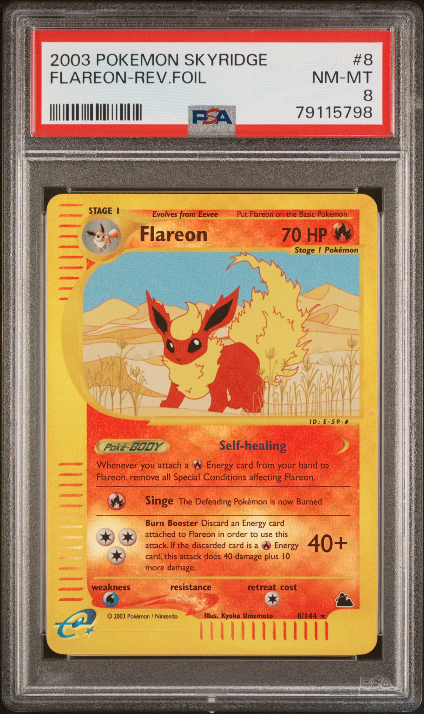 Flareon — seller photo