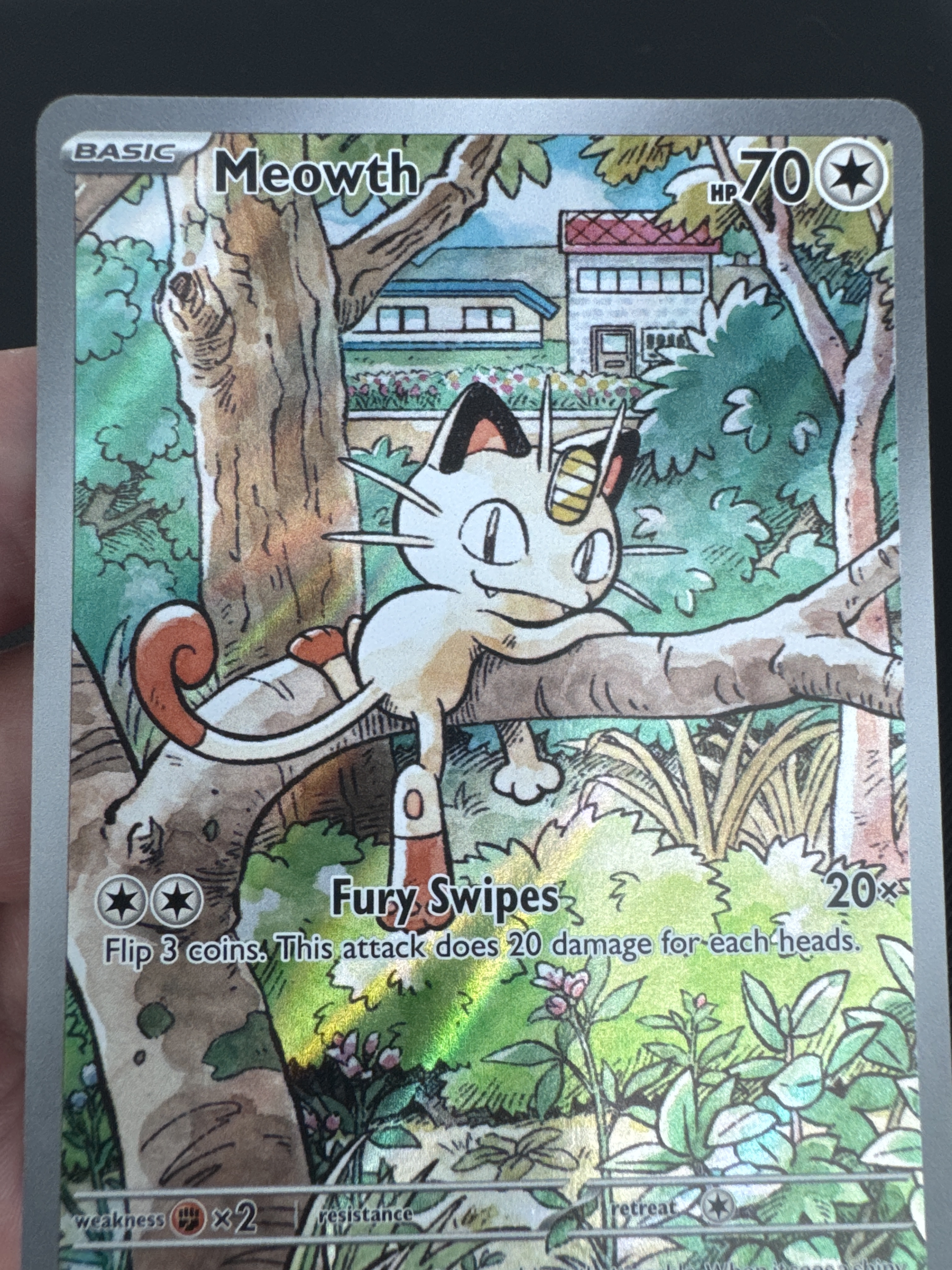 Meowth — seller photo