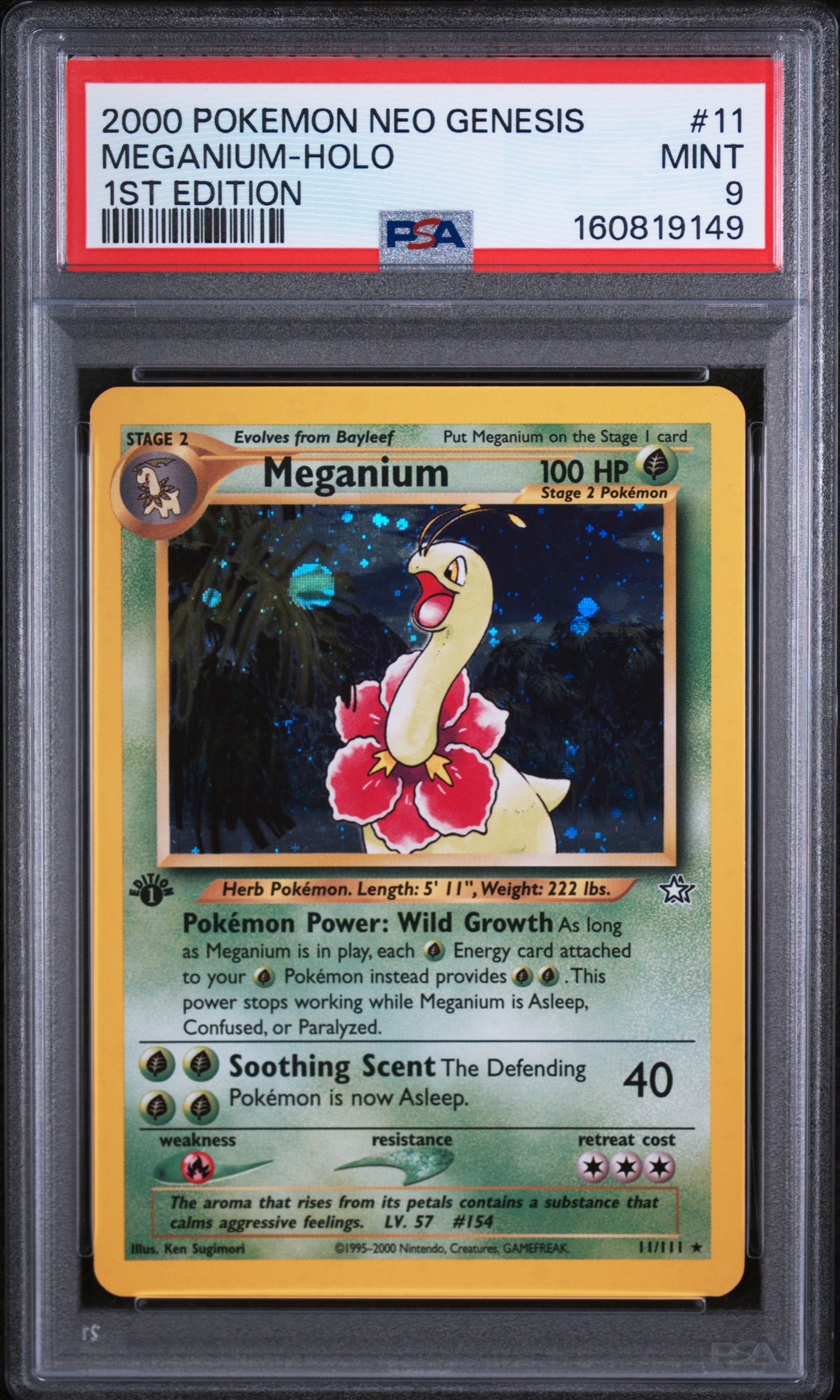 Meganium — seller photo