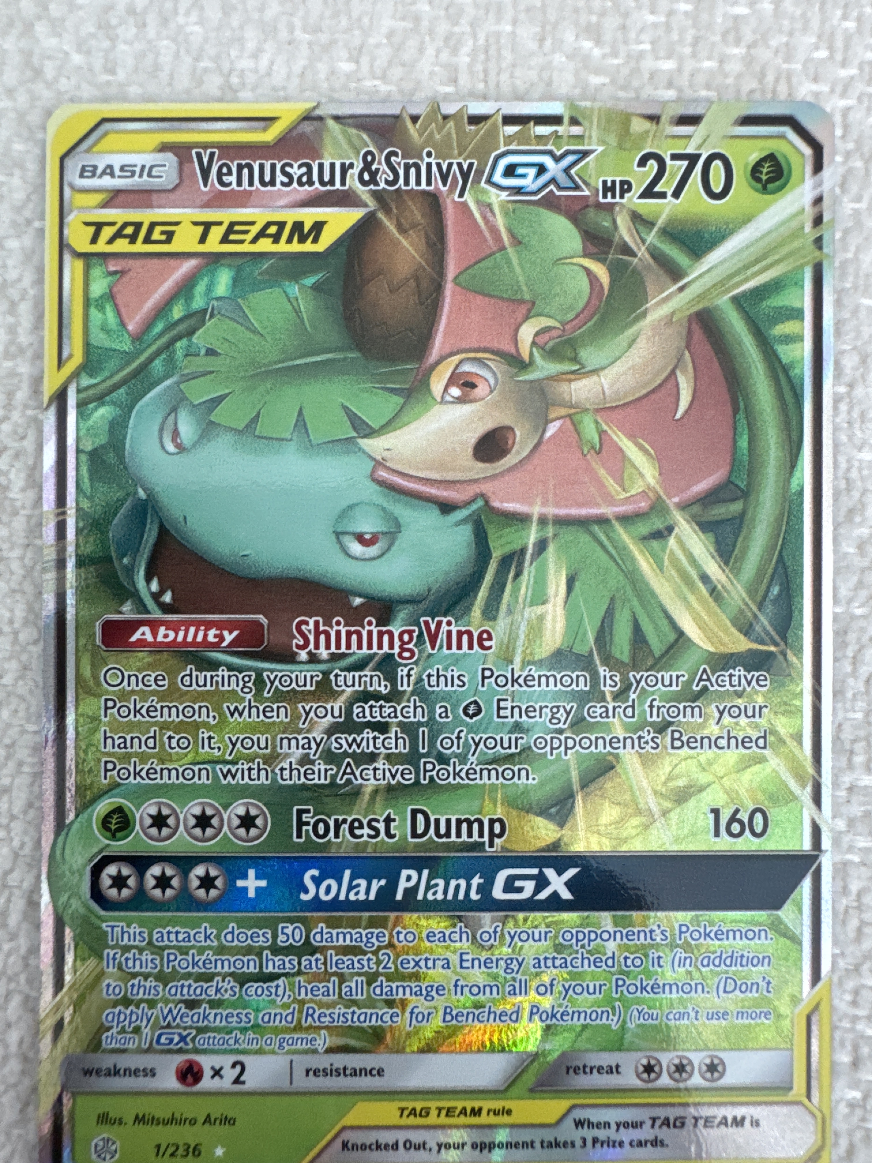 Venusaur & Snivy-GX — seller photo